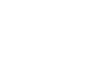 disa white logo